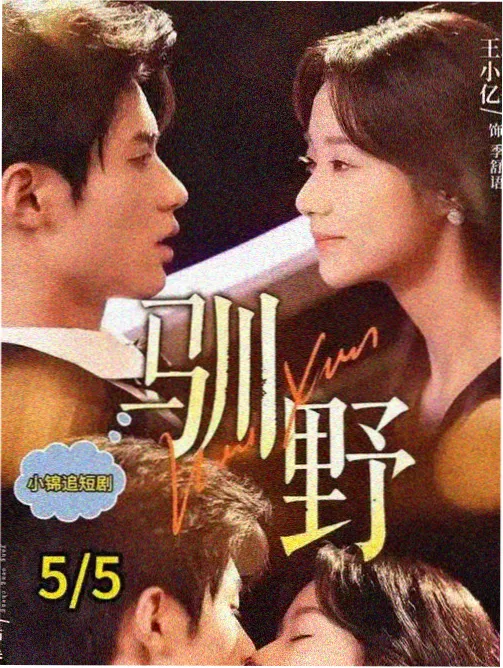 电视剧